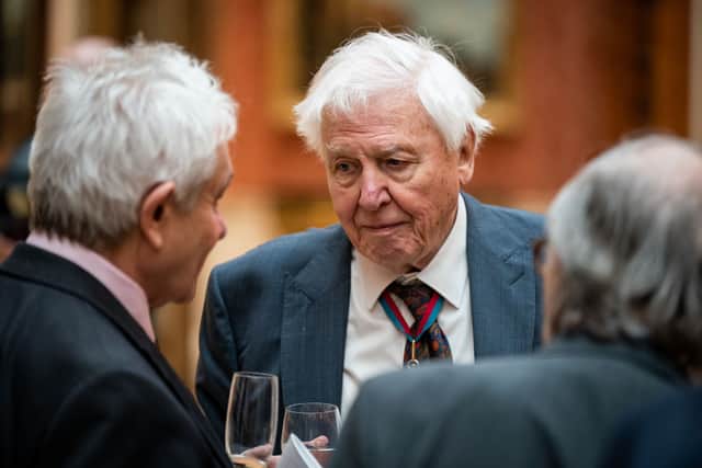 Sir David Attenborough at a luncheon for Members of the Order of Merit at Buckingham Palace on November 24, 2022 in London, England. (Photo by Aaron Chown - WPA Pool/Getty Images)