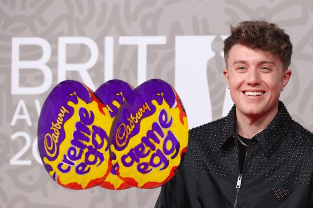 Twitter followers of Roman Kemp were shocked to learn that an egg worth £10,000 was eaten by the Capital FM host (Credit: Getty Images/Cadbury)