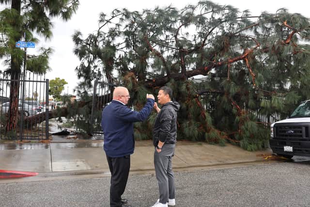 People gather near a toppled tree after a possible tornado touched down and ripped up building roofs in a Los Angeles suburb on 22 March 2023 (Photo: Mario Tama/Getty Images)