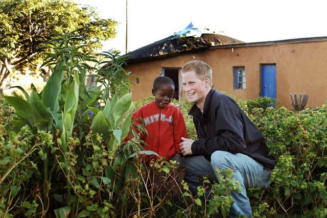 Harry (R) and his old friend, Mutsu Potsane, 6, inspect the Peach Tree that they planted March 2004, in the grounds of Mants'ase children's home, 24 April 2006, while on a return visit to Lesotho in Southern Africa. The Prince was in the country to launch his new charity called 'Sentebale', which means 'Forget me not' in memory of his mother Diana Princess of Wales. AFP PHOTO/John Stillwell/ WPA Rota/PA  (Photo credit should read JOHN STILLWELL/AFP via Getty Images)