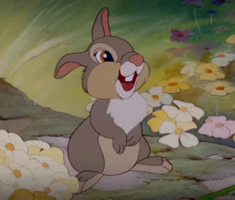 Thumper the rabbit, from the film Bambi.