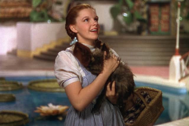 Dorothy with her dog Toto in The Wizard of Oz.