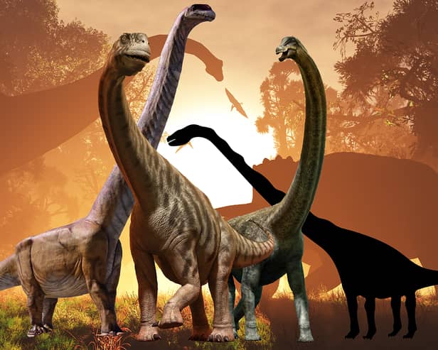 Dinosaurs were once the rulers of our planet and they walked the Earth for over 165 million years.(Getty Images/ Graphic by Kim Mogg)