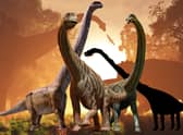 Dinosaurs were once the rulers of our planet and they walked the Earth for over 165 million years.(Getty Images/ Graphic by Kim Mogg)