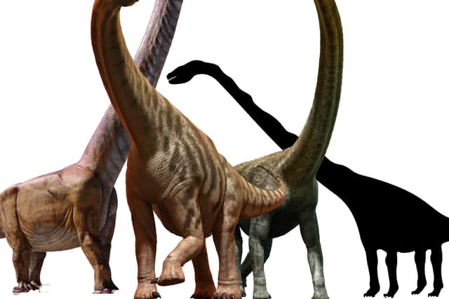 The Patagotitan is the biggest dinosaur in the world in terms of length. (Getty Images/ Graphic by Kim Mogg National World)