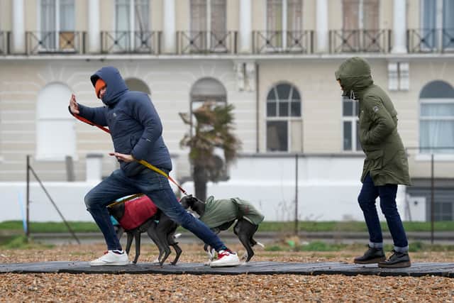 The Met Office has issued yellow warnings for wind and rain (Photo: PA)