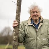 Sir David Attenborough warns we have only a ‘few short years’ left to ‘urgently repair’ the natural world. 