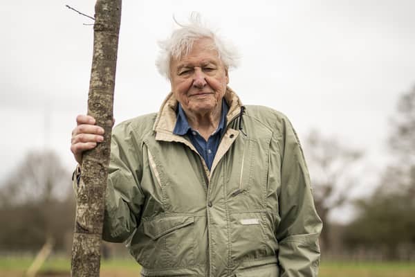 Sir David Attenborough warns we have only a ‘few short years’ left to ‘urgently repair’ the natural world. 