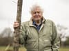 Sir David Attenborough warns we have only a ‘few short years’ left to ‘urgently repair’ the natural world