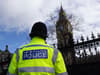 Hundreds of corrupt officers could face dismissal as Met Police ‘cleans up’ workforce