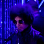 No one could believe that Prince was a fan of New Girl, let alone reached out to ask to be part of the show (Credit: Fox)