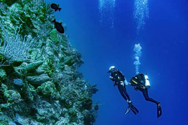 Divers at Little Cayman Marine Parks and Protected Areas (Photo: D.Orr/PA Media)
