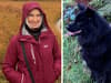 Snowdonia: urgent police search for missing woman and her dog in North Wales, with wild weather on the way