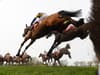 Grand National 2023 odds: who will win Aintree Steeple Chase? Corach Rambler to Noble Yeats - odds explained