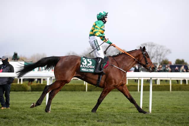 Minella Times was retired earlier this year (Image: Getty Images)