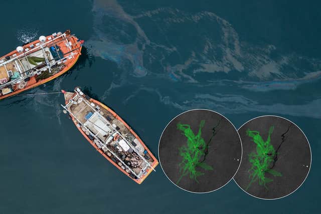 More than 22,000 tonnes of oil spilled into UK waters above safe levels. (Image by NationalWorld/Kim Mogg/SkyTruth) 