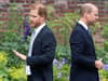 As Prince Harry and Prince William are set to be 'separated' at the coronation, is there no way back for them?