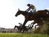 How many horses died at the Grand National? Animal deaths confirmed at Aintree Racecourse