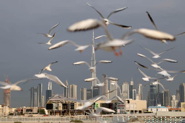 Seagulls take flight with a backdrop of the Dubai skyline. Picture: GIUSEPPE CACACE/AFP via Getty Images