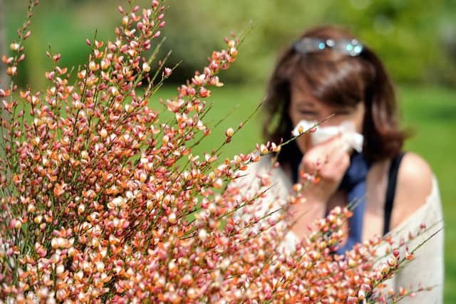 Do you suffer from hay fever? (Photo by PHILIPPE HUGUEN/AFP via Getty Images)