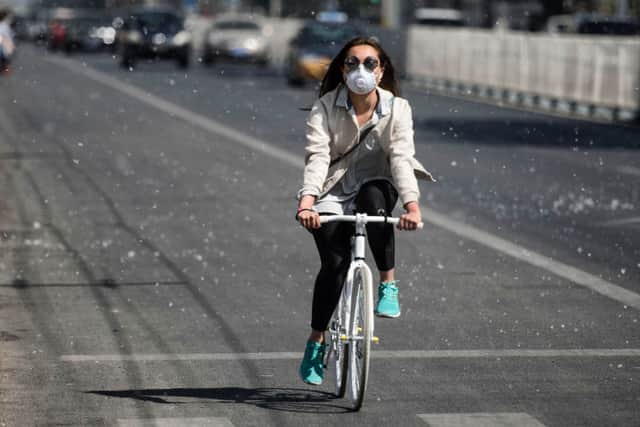 This photo taken on April 9, 2016 shows a cyclist making her way along a street filled with white pollen falling from catkin-bearing trees as the return of pleasant weather marks the arrival of the allergy season in Beijing. (Photo by FRED DUFOUR/AFP via Getty Images)