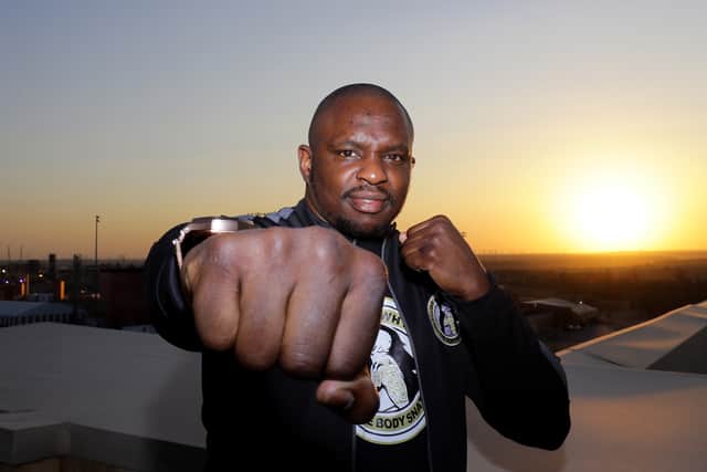Dillian Whyte has been ranked in the top 10 since 2016. (Getty Images)