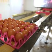 Free-range eggs to return to shelves as bird flu restrictions ease. (Photo: Getty Images) 