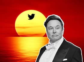 Elon Musk's ownership of Twitter has resulted in many accounts sailing off into the sunset (Image: Mark Hall / Getty)