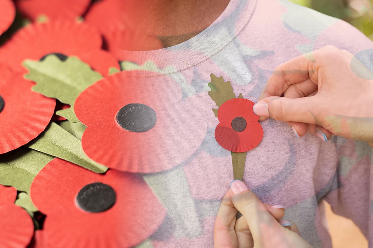 Patrocinar Escuchando Campeonato New 'planet friendly' poppy made from recycled coffee cups | NationalWorld
