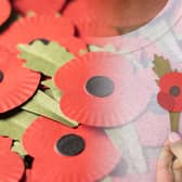 The new poppies are eco-friendly and made from used coffee cups - Credit: PA