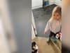 Watch: Toddler tries to blame dog for handprints that mysteriously appeared on a freshly painted wall