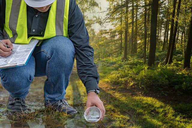 Plans for new woodland scrapped as field soaked with sewage. (Photo: NationalWorld/Kim Mogg/Adobe Stock) 