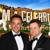 Ant and Dec return to screens tonight for I'm A Celebrity All Stars (Pic:Getty)