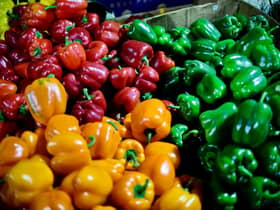Peppers are in short supply in some UK supermarkets (image: AFP/Getty Images)