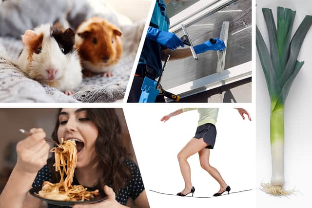 Some of the most bizarre Guinness World Records, including a guinea high jump, a long leek, window cleaning, eating pasta quickly and walking a tightrope in high heels.