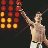 Freddie Mercury's 'splendid things' collection is up for auction this summer (Pic:Getty)
