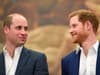 A timeline of Prince Harry and Prince William’s relationship as a reconciliation might be permanently ‘off'