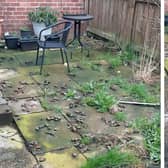 ‘Rank’ mess in the dog owner’s garden