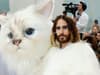 Cat Crazy: The most ridiculous outfits at Met Gala 2023 as Jared Leto arrives in full feline costume