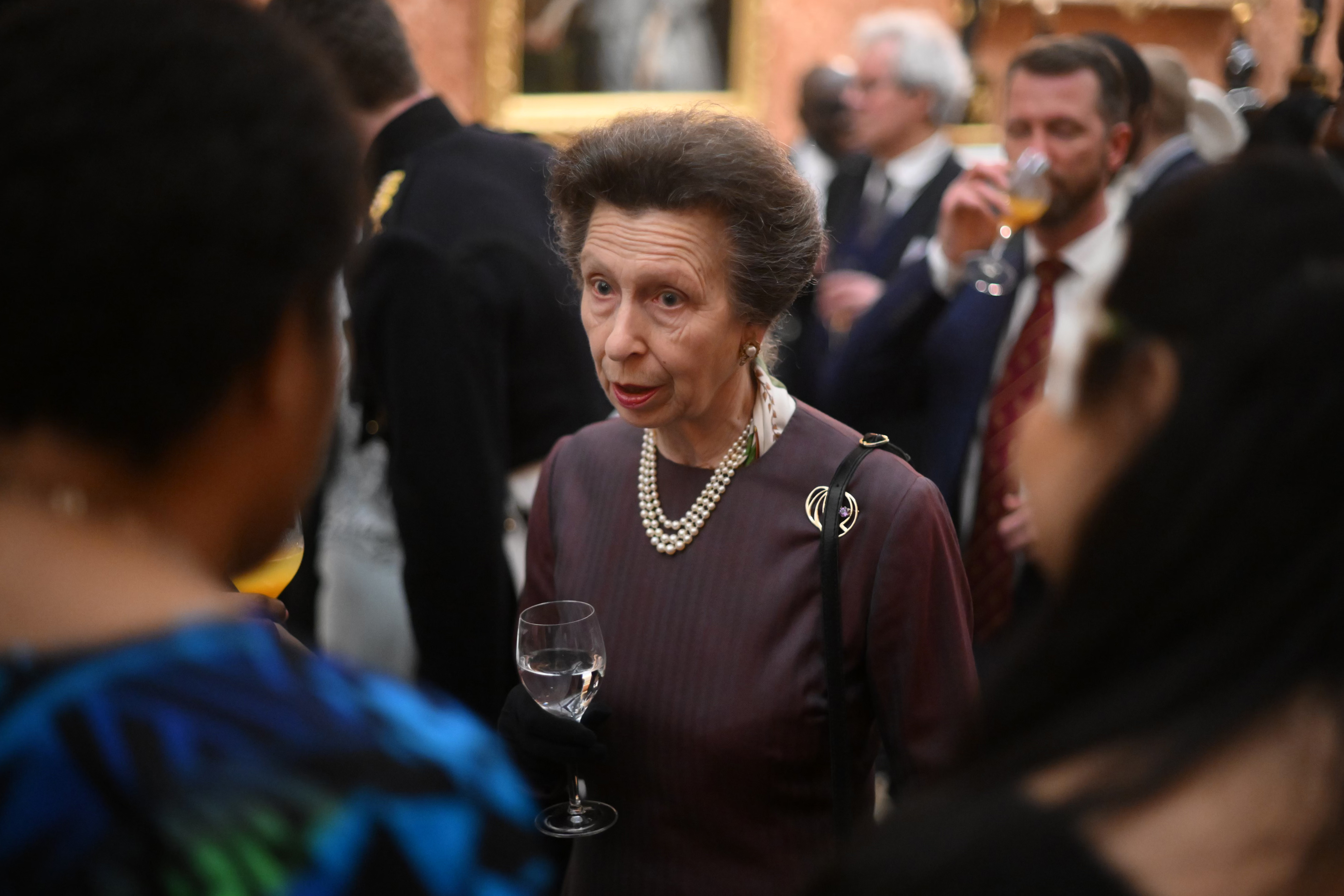 King Charles coronation: Princess Anne says becoming King ‘won’t change’ older brother Charles