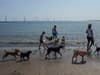 New beach rules for dog owners which could land you a £100 fine this summer