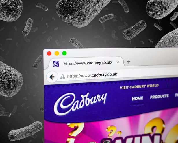 Several Cadbury desserts have been recalled over listeria contamination fears. (Photo: NationalWorld/Kim Mogg/Adobe Stock) 