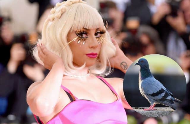 Lady Gaga changed outfit four times at the 2019 Met Gala but a pigeon truly stole the show (Pic:Getty)