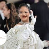 A cockroach kept people entertained at the Met Gala as they awaited Rihanna's entrance (Pic:Getty)