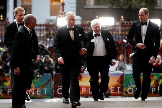(L-R) Prince Harry, Duke of Sussex, Prince Charles, Prince of Wales, Sir David Attenborough and Prince William, Duke of Cambridge attend the "Our Planet" global premiere at Natural History Museum on April 4, 2019 in London, England. (Photo by John Sibley - WPA Pool/Getty Images)