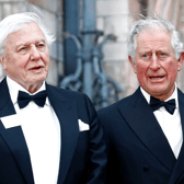 Sir David Attenborough and King Charles III attend the "Our Planet" global premiere the at the Natural History Museum on April 04, 2019 in London, England. (Photo by John Phillips/Getty Images)