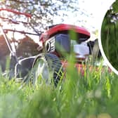 Homeowners urged to take part in No Mow May to ‘liberate lawns’. (Photo: NationalWorld/Mark Hall) 