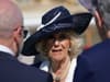 Camilla’s grandson injures himself ahead of the Coronation - a look at royals who have sported injuries