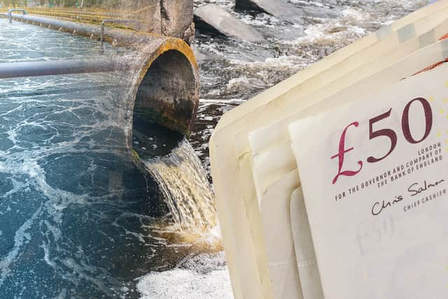 Water companies have been fined £10.5 million for sewage spills that killed more than 33,000 fish over seven years. (Photo: NationalWorld/Kim Mogg/Adobe Stock) 