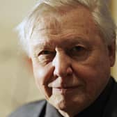 Celebrate David Attenborough's 97th birthday by watching these high-rated documentaries and television programmes - Credit: Getty
